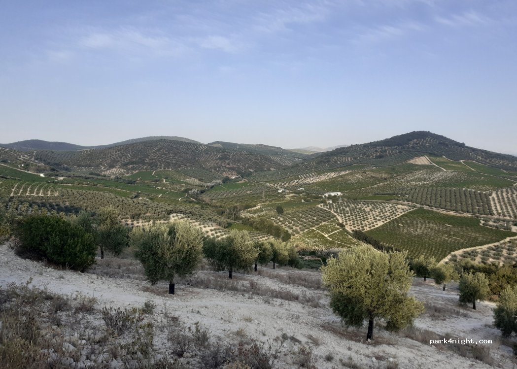 (14550) Montilla - 1582 Diseminado Diseminados — foto 3