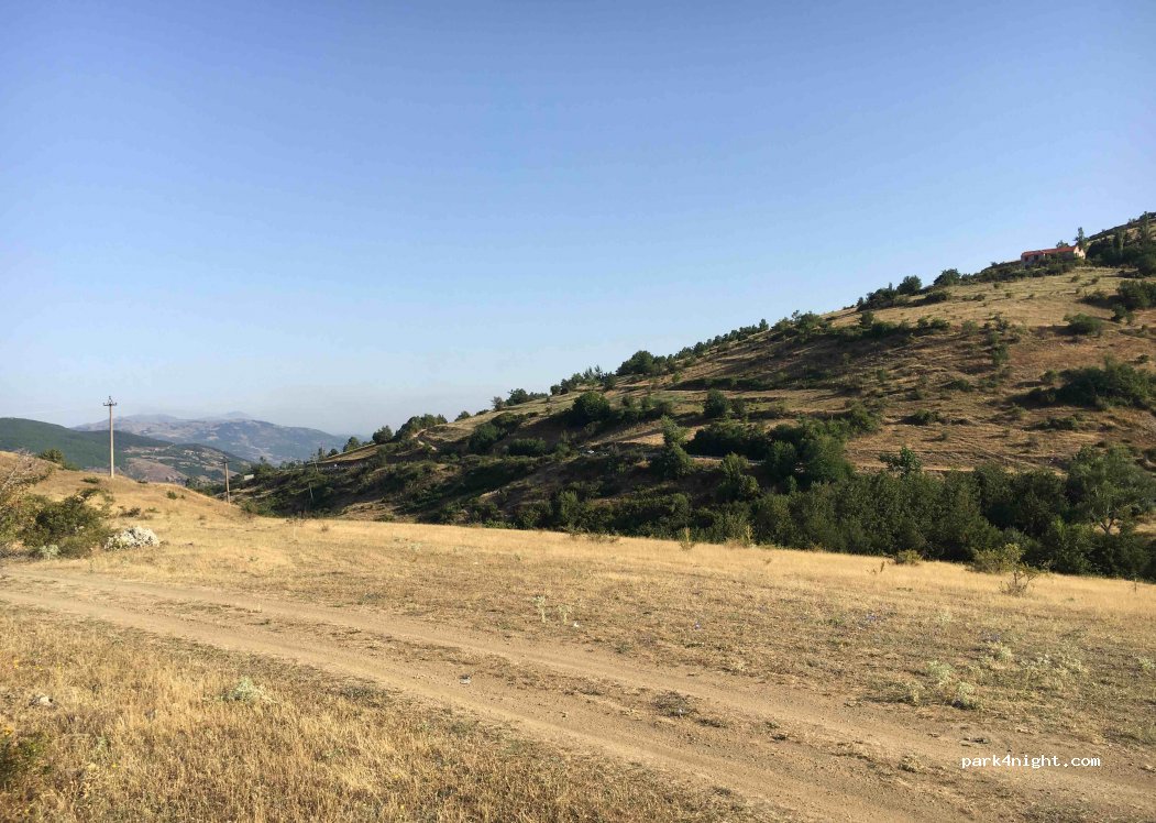 (8308) Vasije - Vasie — foto