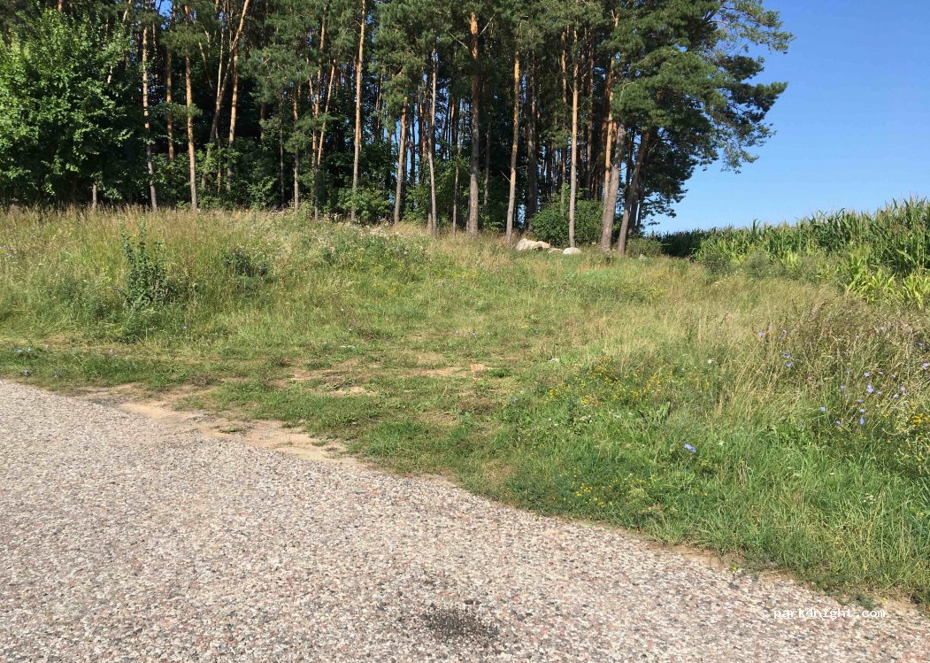 (19-104) Trzcianne - Droga Wojewódzka 671 — foto