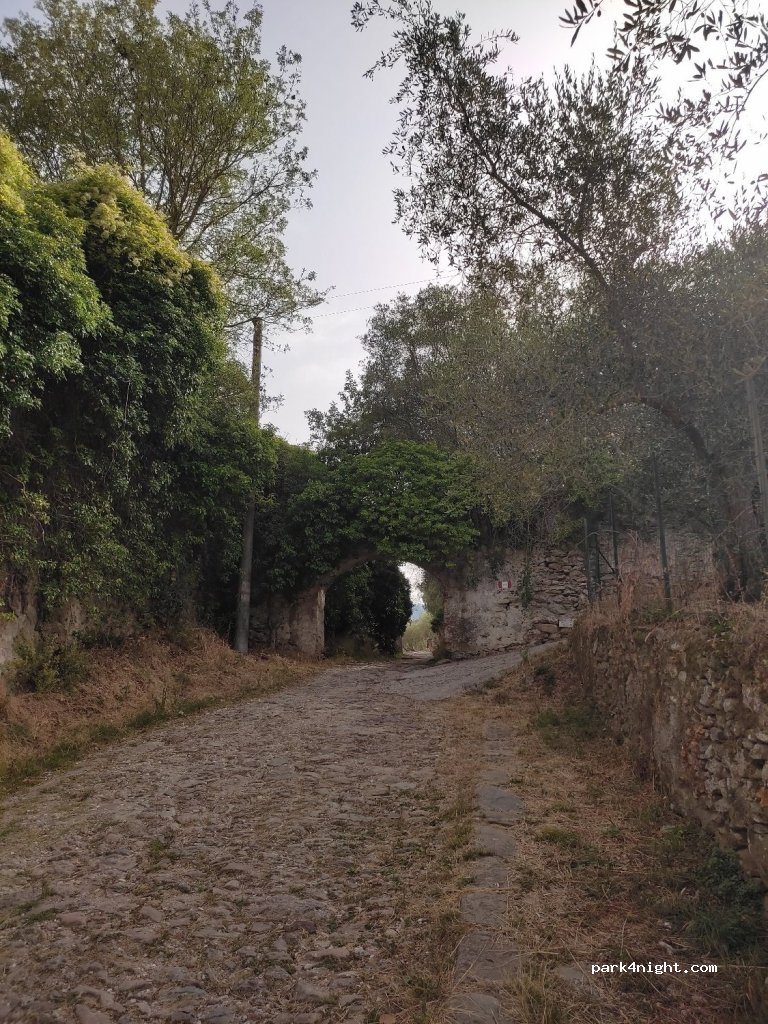 (56011) Calci - 10 Via Nicosia — foto 3
