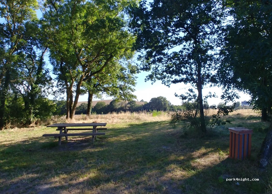 (49400) Saumur - Rue du Trésor — foto