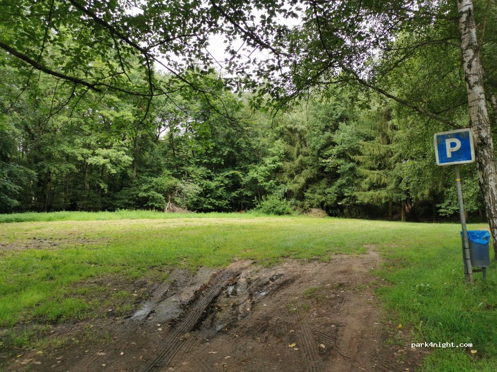(57880) Ham-sous-Varsberg - Rue de la Forêt — foto