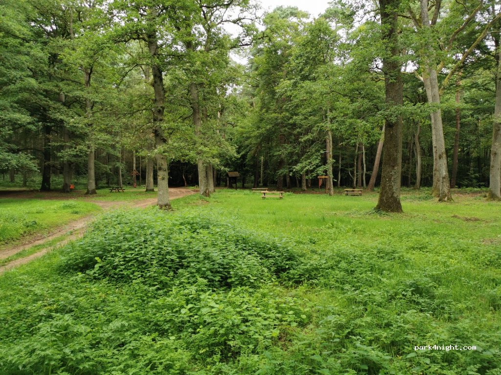 (57880) Ham-sous-Varsberg - Rue de la Forêt — foto 3