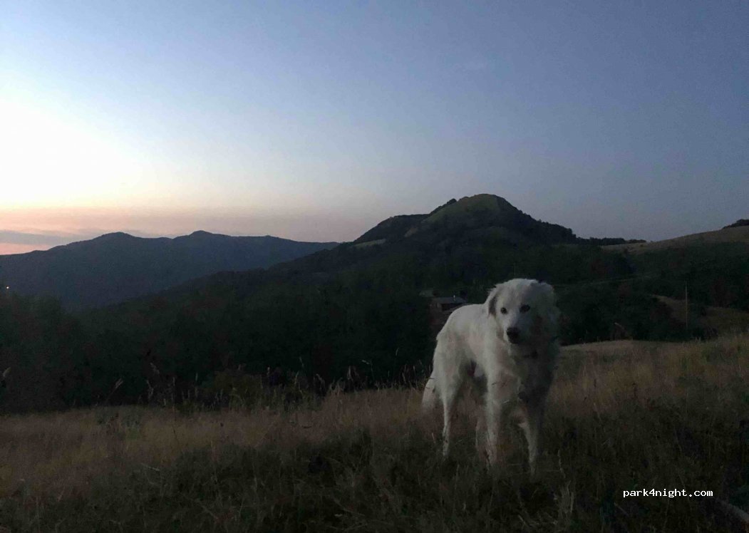 (43010) Rigoso - Via Pratospilla — foto
