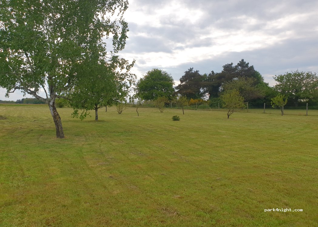 (41120) Candé-sur-Beuvron - 49 Rue de la Garenne — foto 4