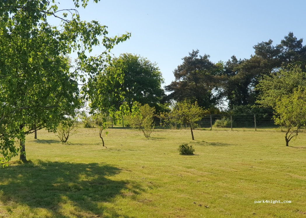 (41120) Candé-sur-Beuvron - 49 Rue de la Garenne — foto 5
