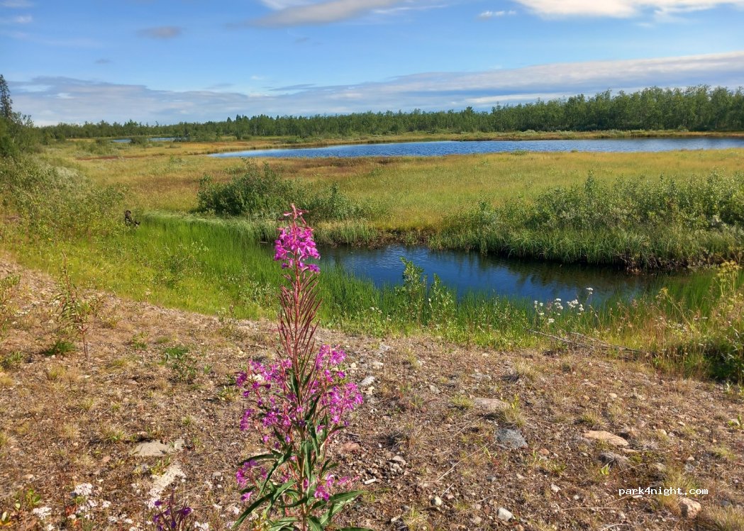 (981 99) Kiruna - Unnamed Road — foto 2