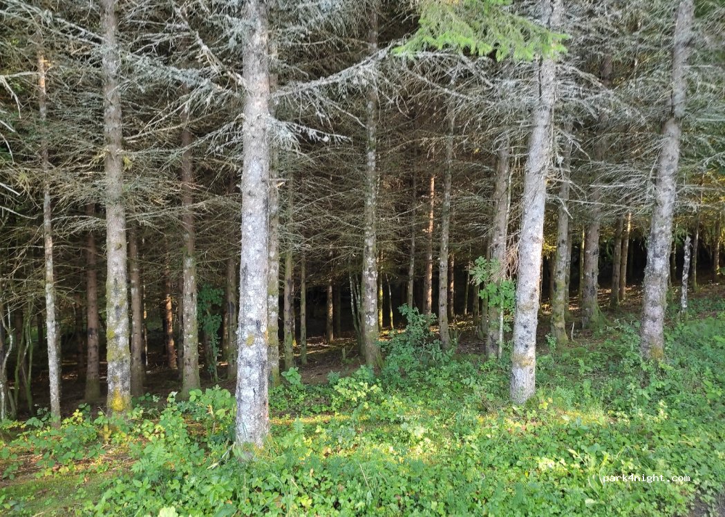 (01130) Le Poizat-Lalleyriat - Le Ris — foto 3