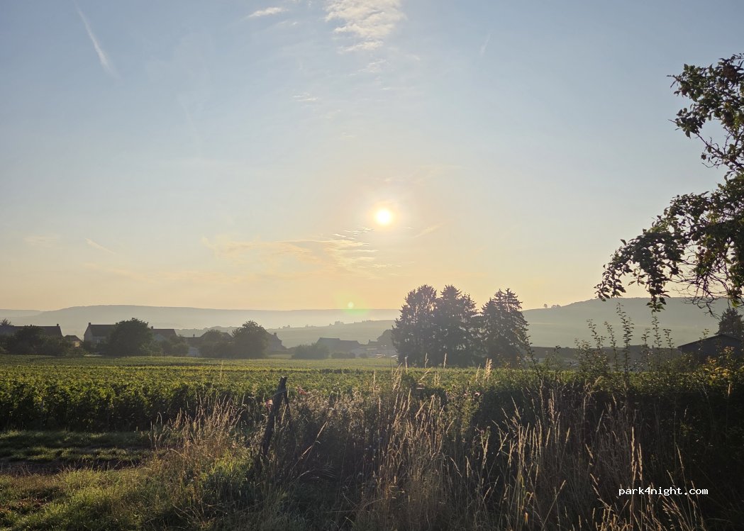Champagne M&S JOBERT — foto 5