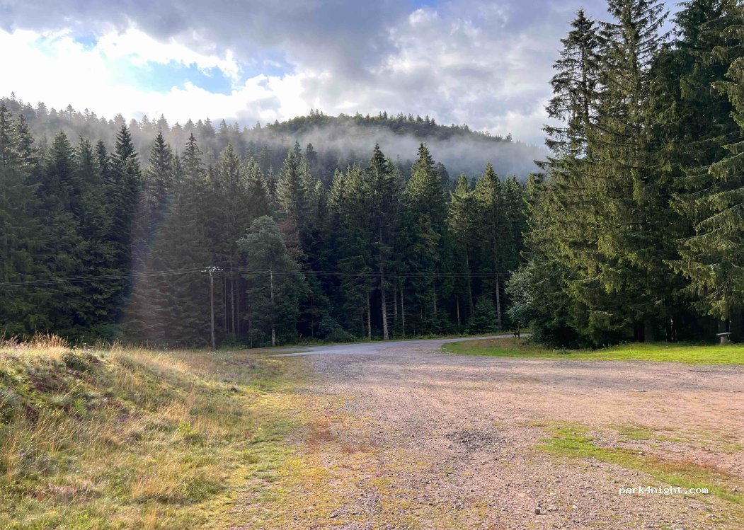 (88250) La Bresse - 49 Route de Lispach — foto 4