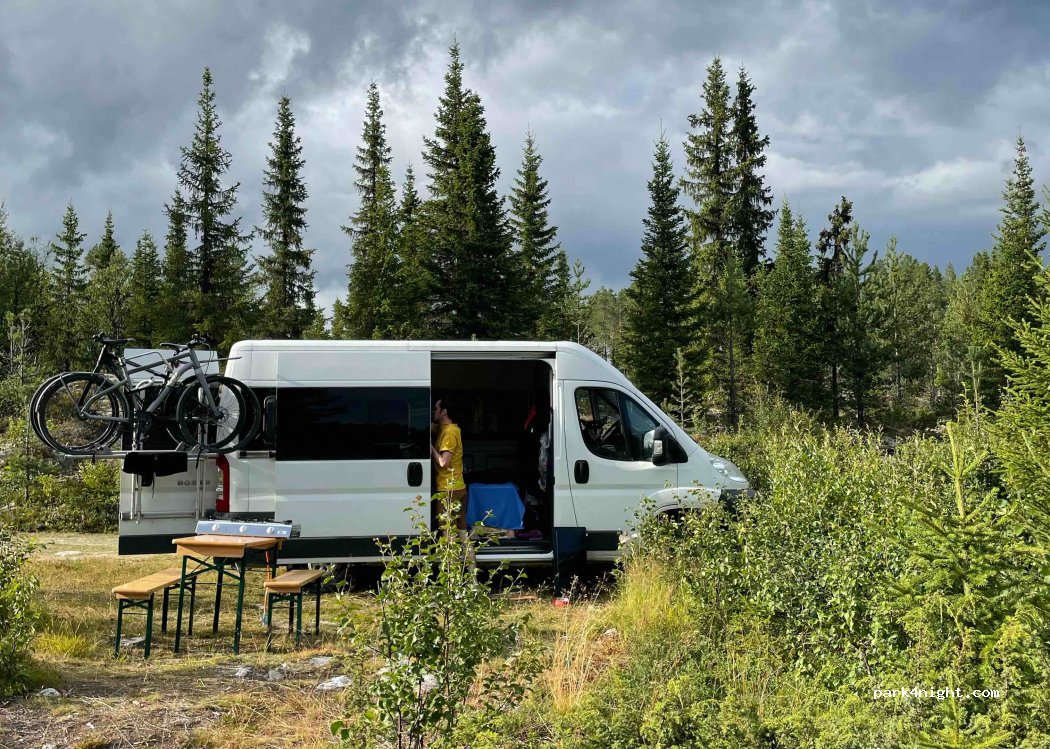 (3550)  - Primær Fylkesveg 51 — foto