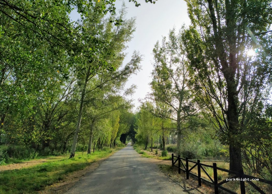 (44380) Villarquemado - Unnamed Road — foto
