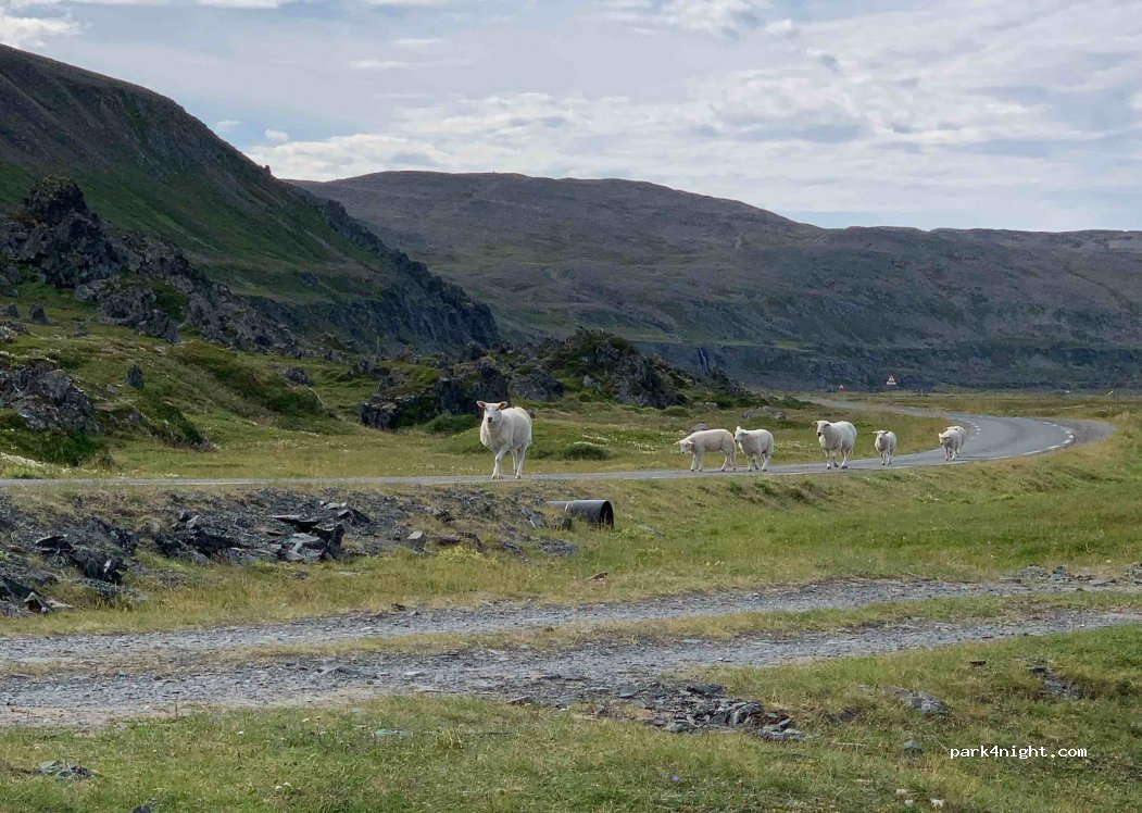 (9990)  - Sekundær Fylkesveg 341 — foto