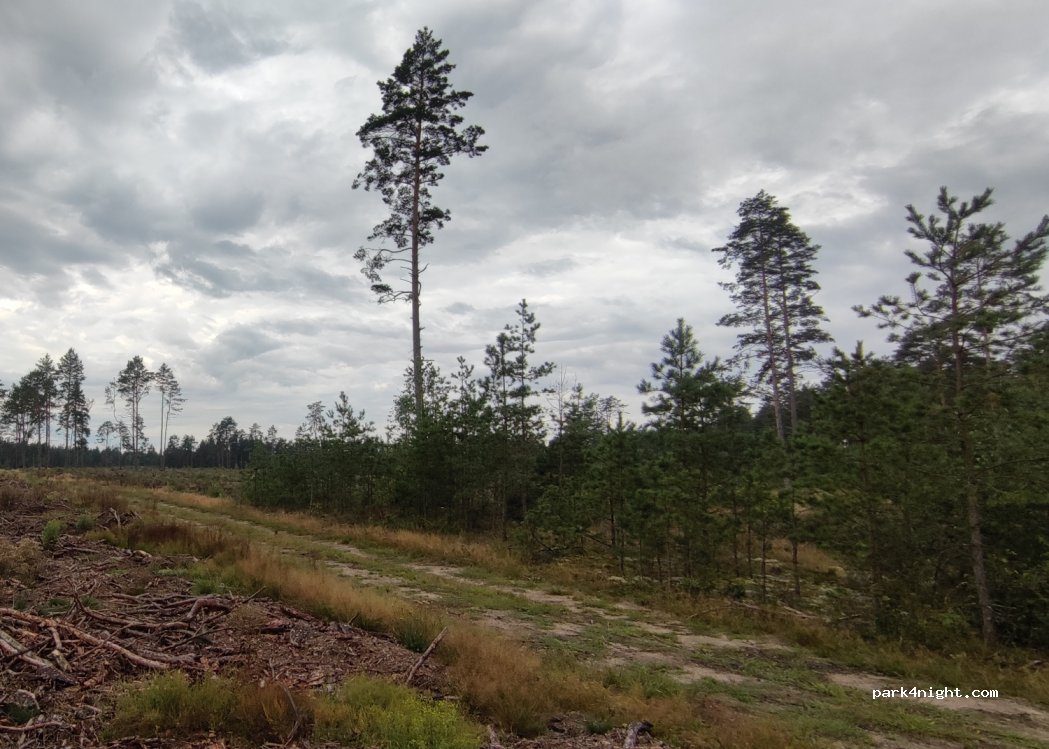 (65430) Pamerkiai - Unnamed Road — foto 2