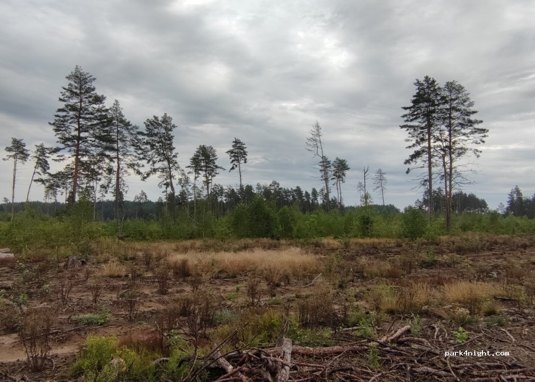 (65430) Pamerkiai - Unnamed Road — foto 3