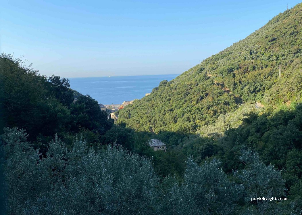 (16031) Sessarego - 1 Località Sessarego — foto
