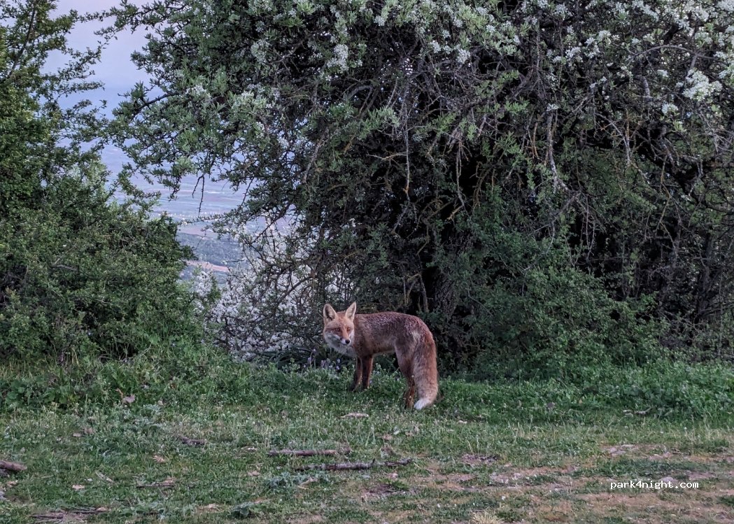 (422 00) Kalampaka - Eparchiaki Odos Meteoron-Kallitheas — foto 3