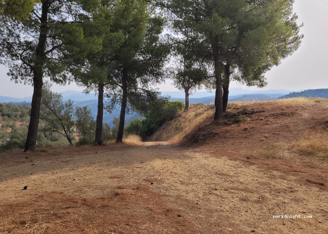 (231 00) Sparti - Unnamed Road — foto