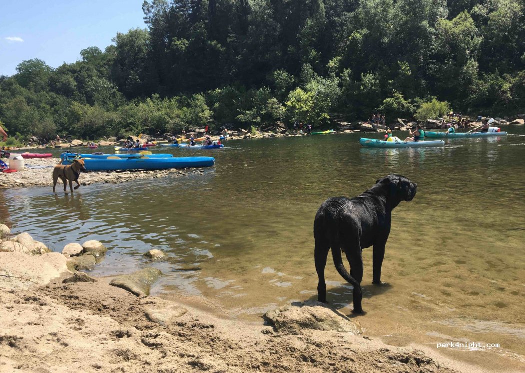 Location canoë Loulou Bateaux — foto