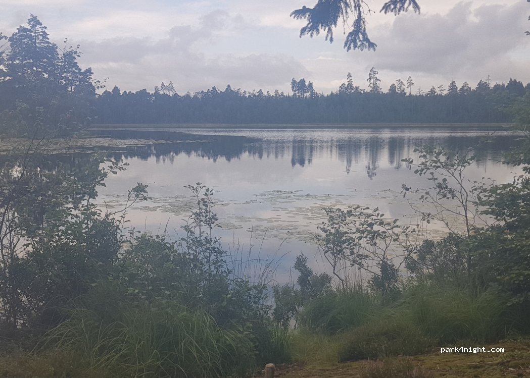 (340 10) Lidhult - Unnamed Road — foto