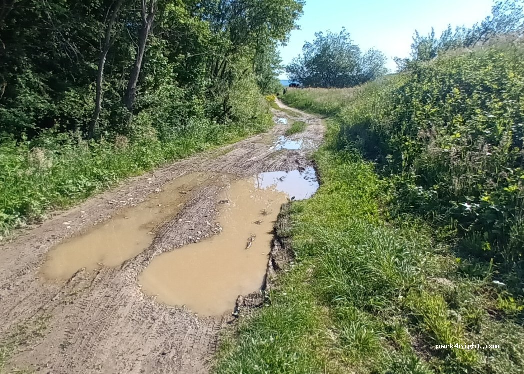 (47307) Dujmić Selo - Unnamed Road — foto 2