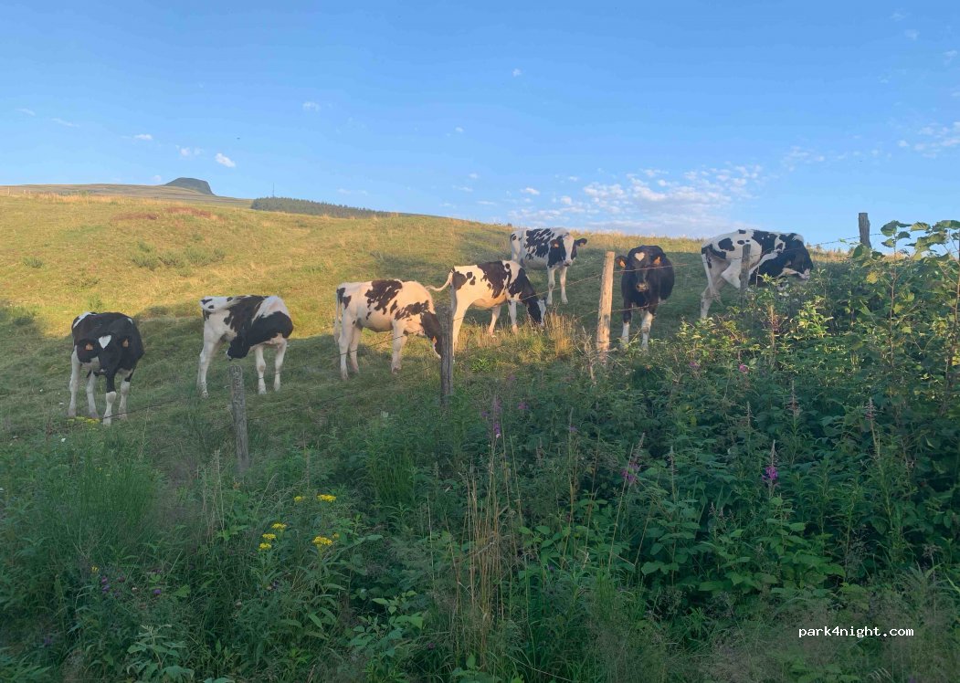 (63950) Saint-Sauves-d'Auvergne - Pédaire — foto 2