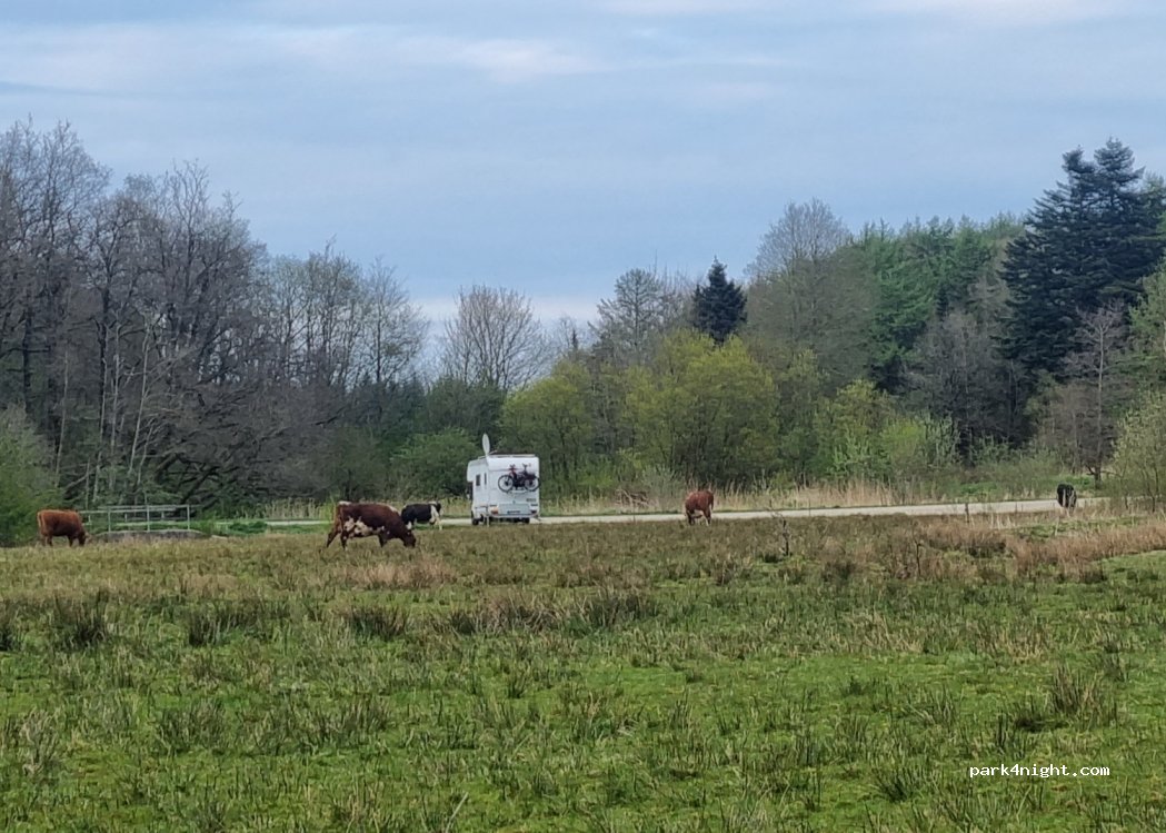 (7620) Lemvig - 37 Gammel Landevej — foto 2