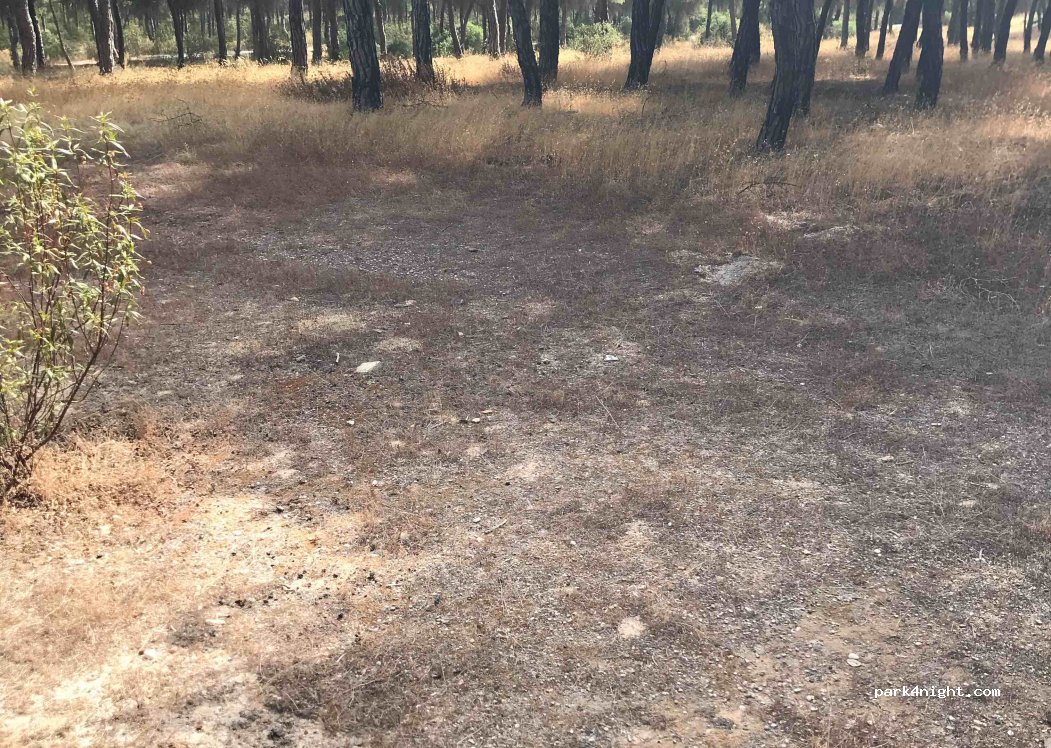 (21459) Cartaya - — foto
