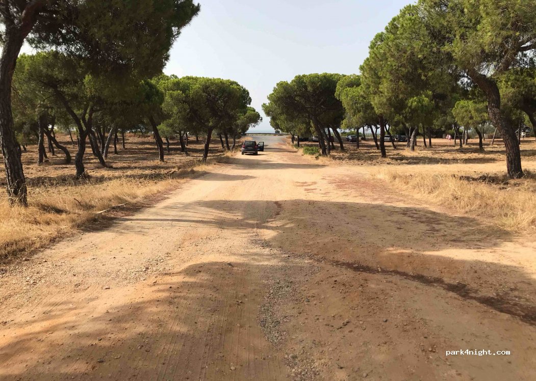(21459) Cartaya - — foto 2
