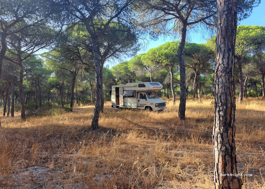 (21459) Cartaya - — foto 3