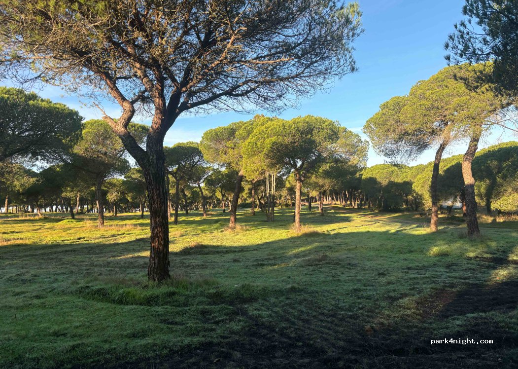 (21459) Cartaya - — foto 4
