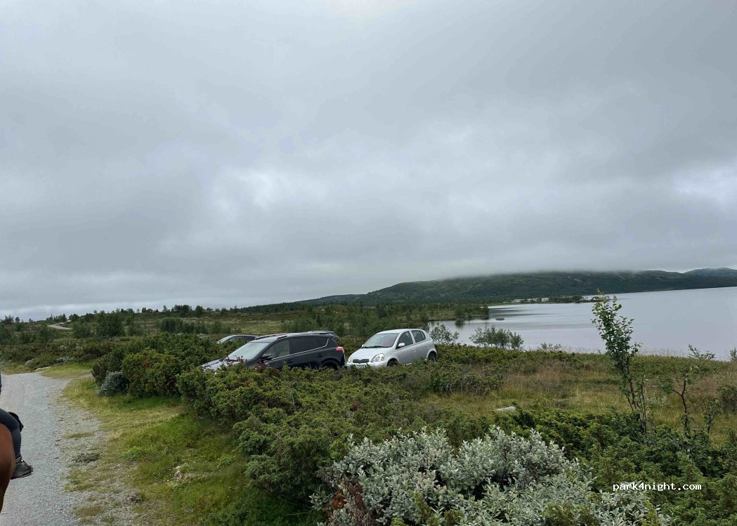 (2950) Skammestein - 1 Ole — foto 3