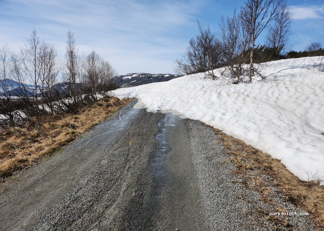 (2950) Skammestein - 1 Ole — foto 4