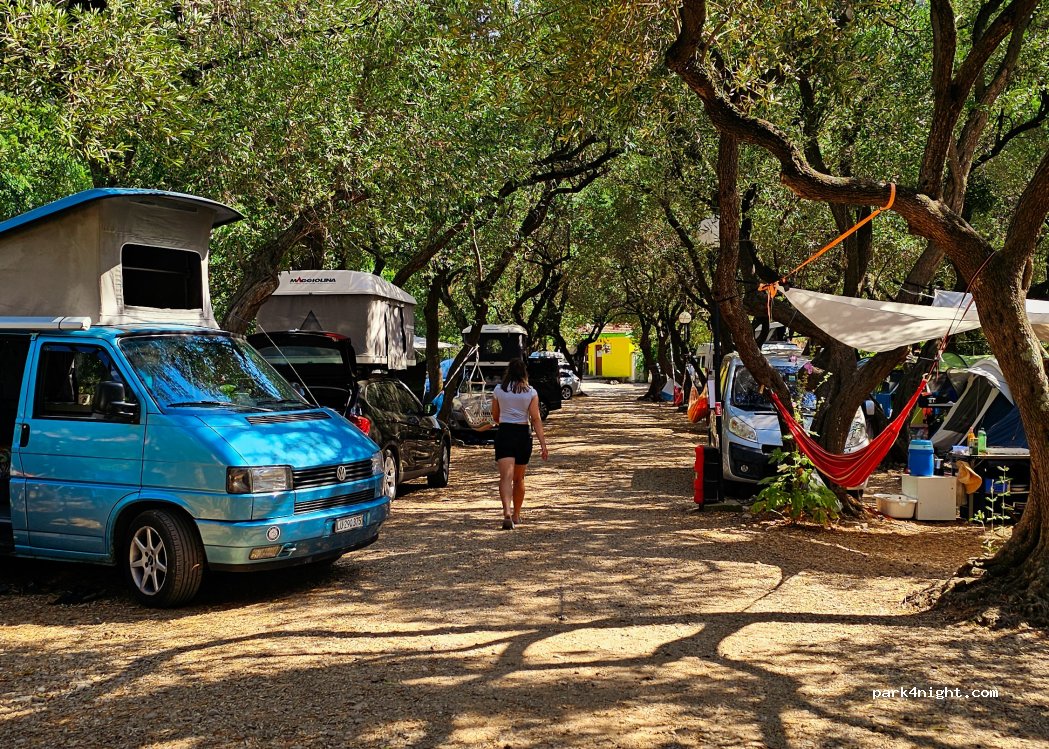 Camp Divna — foto 4