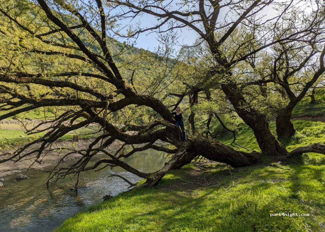 (81010) Letino - Unnamed Road — foto 4