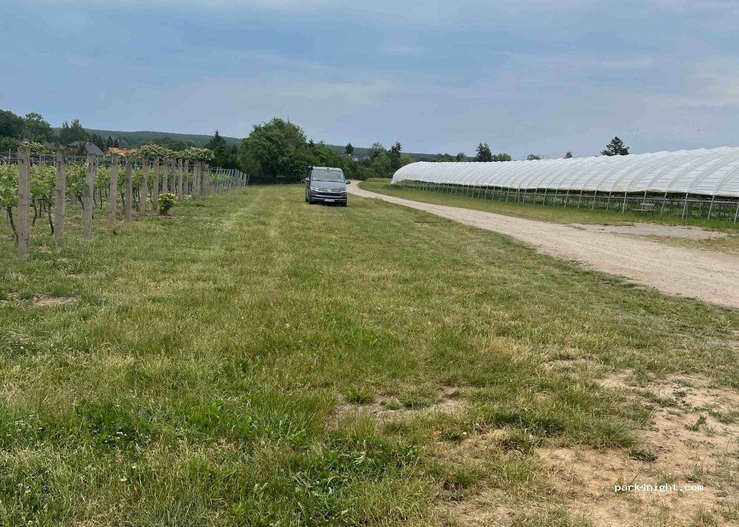 Weingut Patke — foto 4