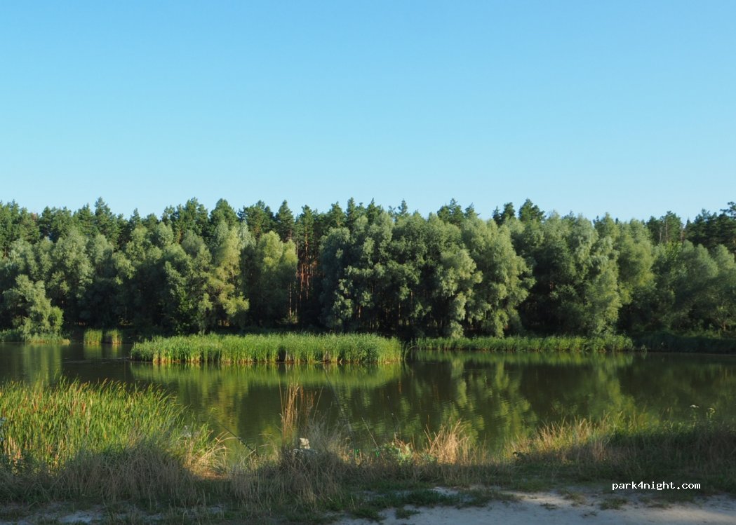 (08641) Velyka Soltanivka - Vul. Zoryana — foto 3