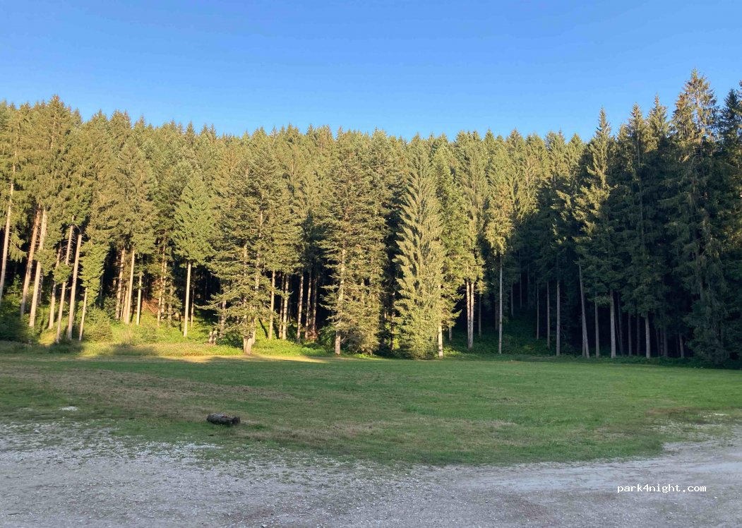 (36012) Veneto - Località Prunno — foto 2