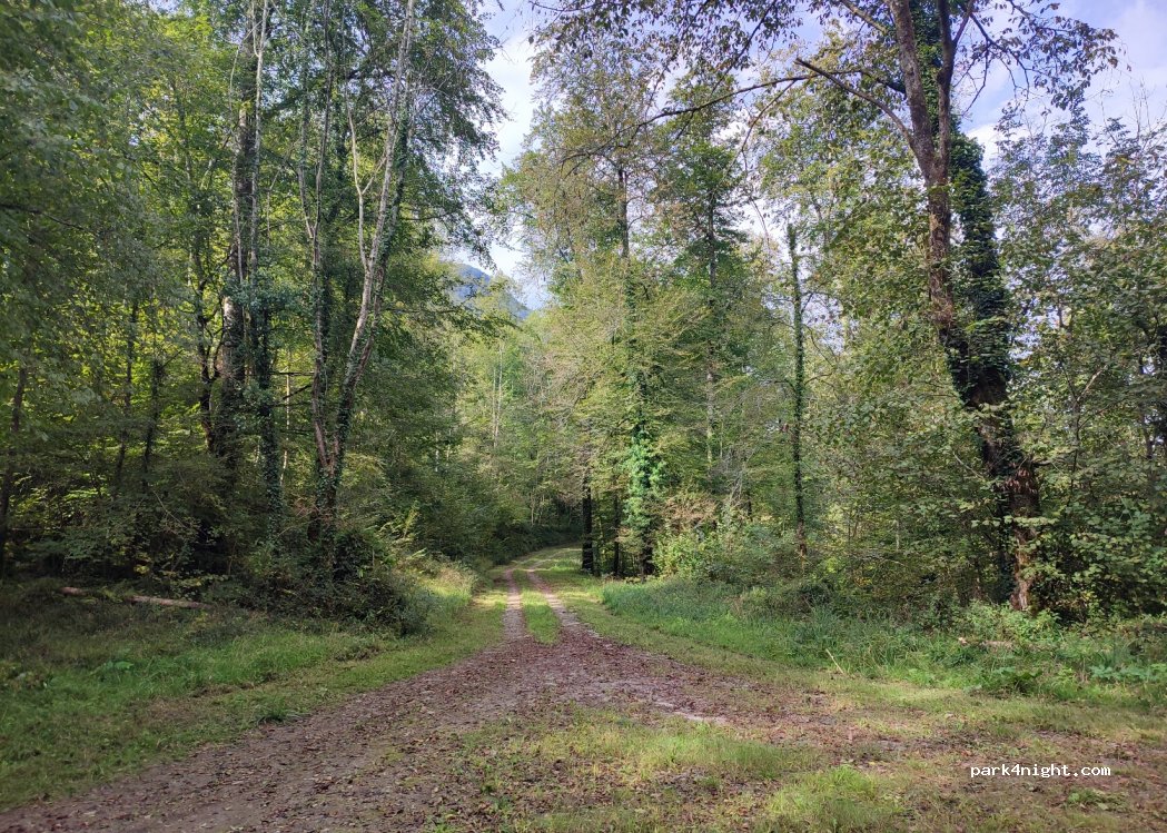 (64400) Oloron-Sainte-Marie - Route Forestière de Rouehou — foto 2