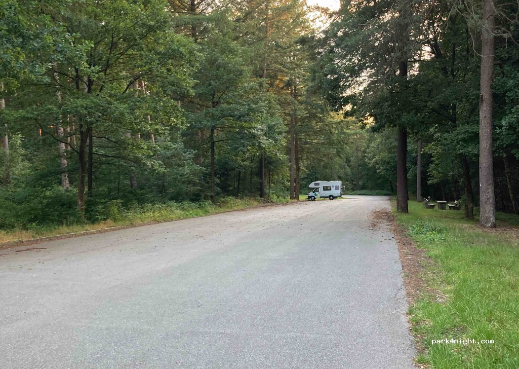 (21244) Buchholz in der Nordheide - 56A Kirchenallee — foto 2