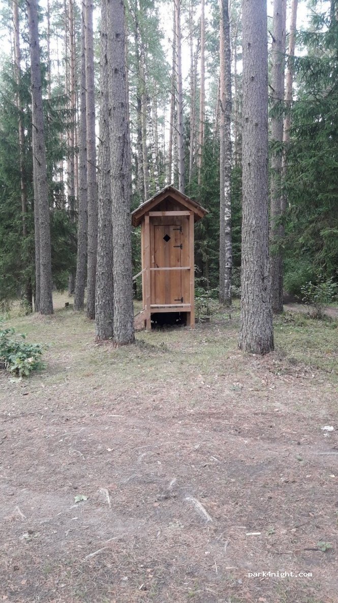 (4101) Priekuļu pagasts - Unnamed Road — foto 2