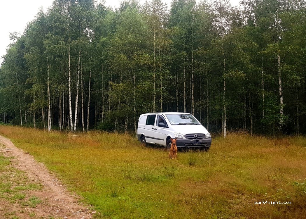 (512 94) Svenljunga - Unnamed Road — foto