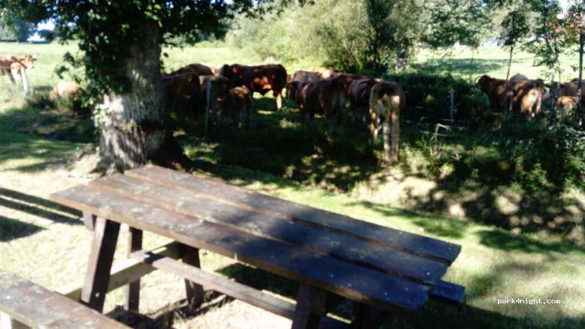 (16420) Lesterps - 10 Route de Brigeuil — foto 3