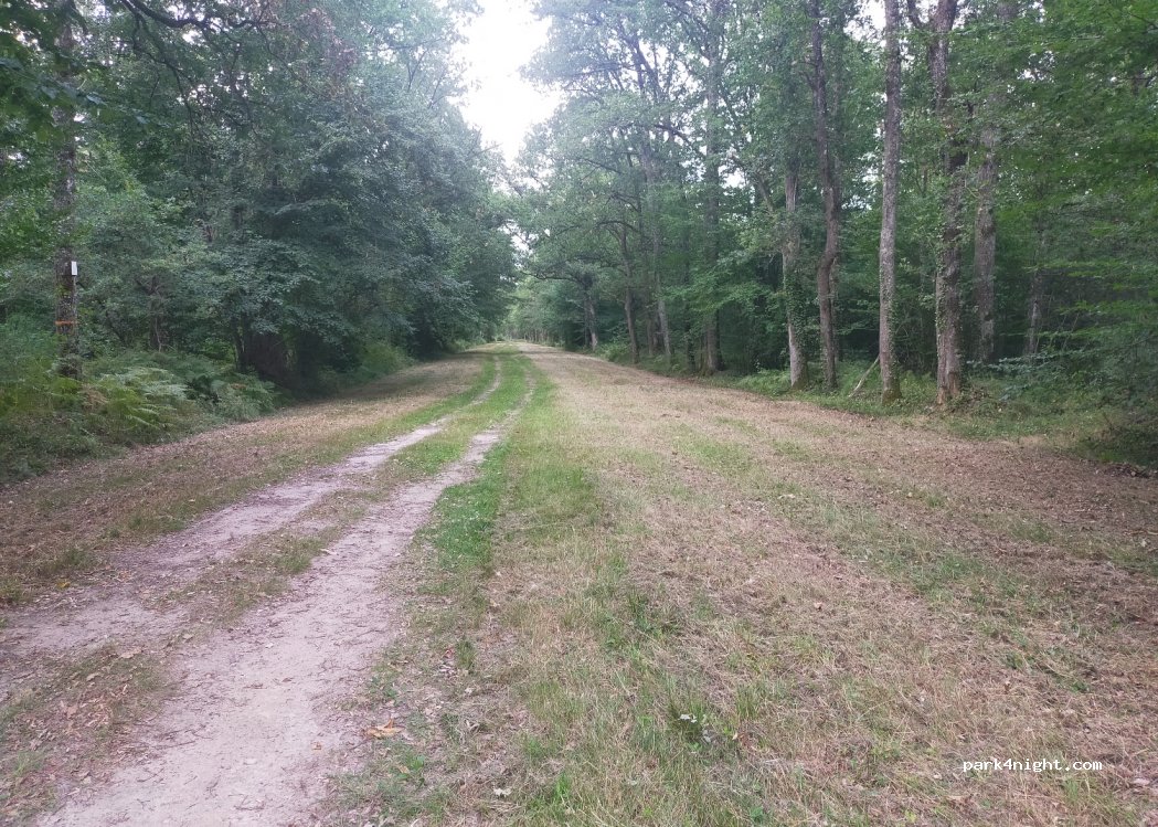 (18170) Loye-sur-Arnon - 158 Bornac — foto 2