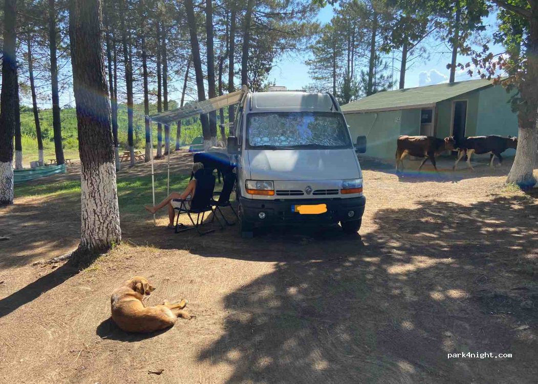 Piril camping — foto 2