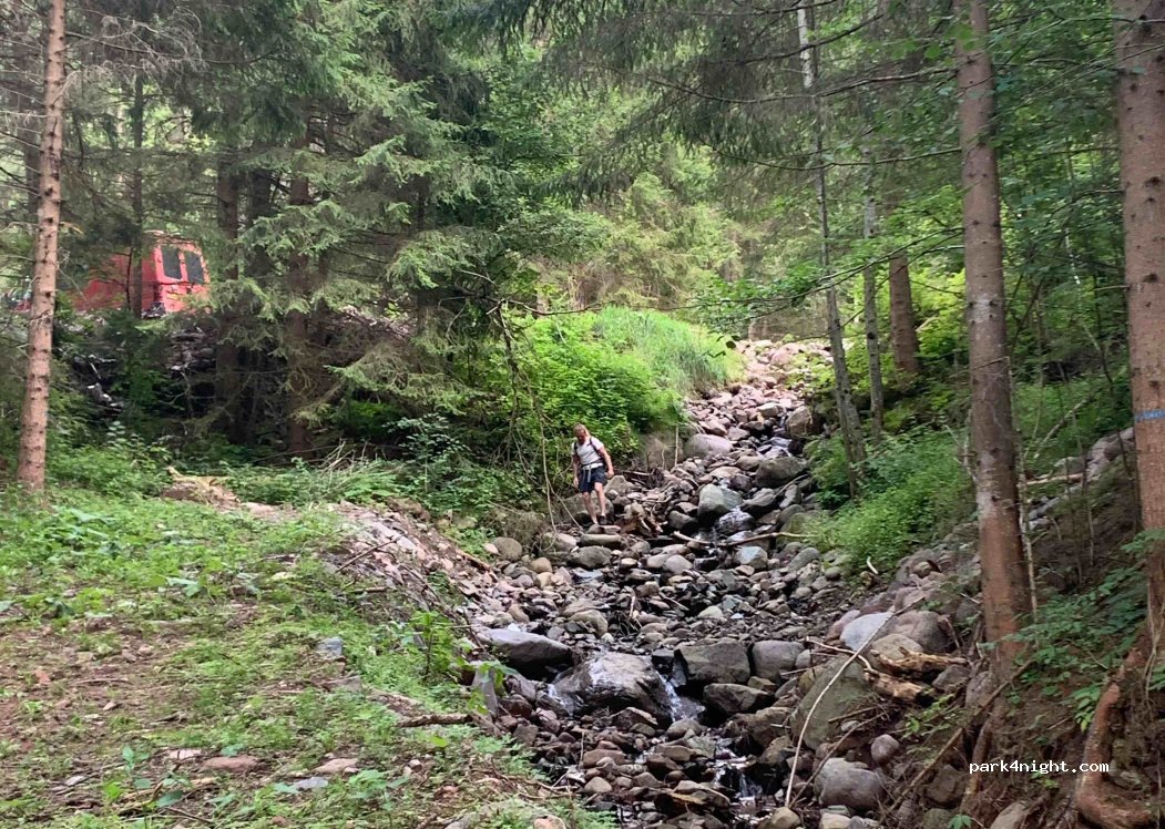 (38037) Predazzo - Salita Alla Cascata — foto