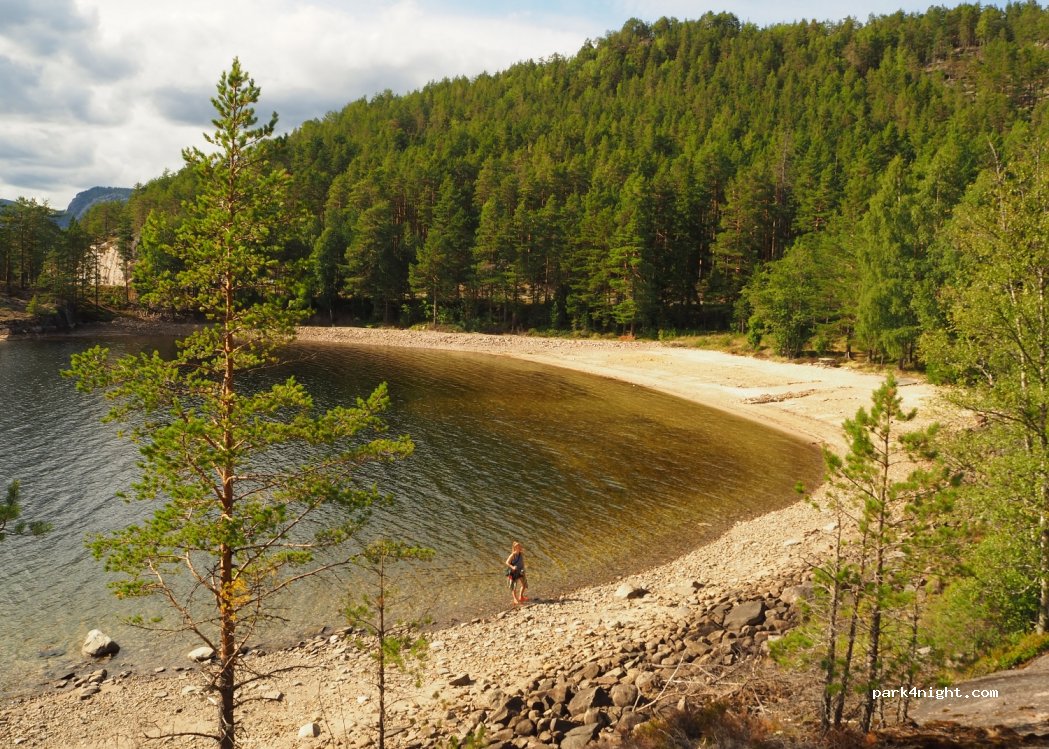 (3854) Nissedal - Riksveg 41 — foto