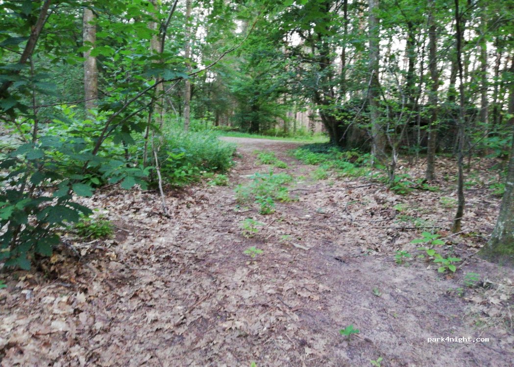 (67500) Haguenau - Unnamed Road — foto 2
