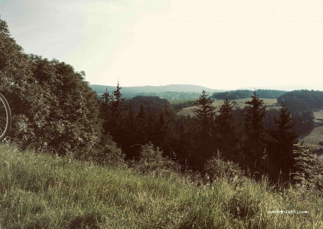 (15320) Ruynes-en-Margeride - D4 — foto 3