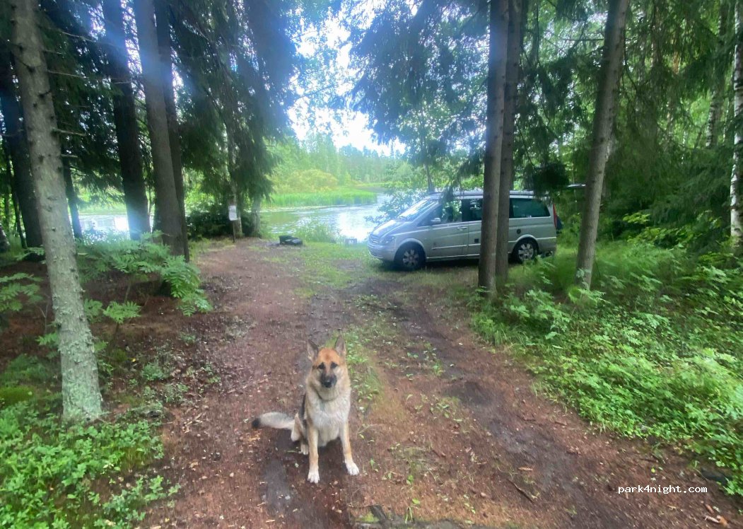 (79620) Huutokoski - 80 Rauhaniementie — foto 2
